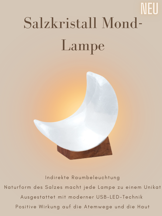 Salzkristall Mondlampe mit Holzsockel